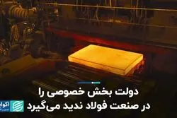 دولت بخش خصوصی را در صنعت فولاد ندید می‌گیرد