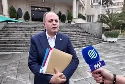 چرا ارز ترجیحی برنج حذف شد؟/ برنامه‌دولت برای جبران افزایش قیمت چیست؟