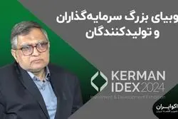 فوبیای بزرگ سرمایه‌گذاران و تولیدکنندگان