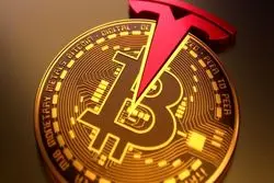 از دست رفتن سود کلان شرکت تسلا با فروش بیت‌کوین
