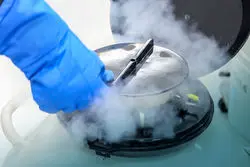 فریز تخمک مشمول بیمه می‌شود/ فریز تخمک چقدر هزینه دارد؟