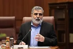 ادعای مهم سخنگوی سازمان انرژی اتمی؛ خودکفایی ایران در ساخت نیروگاه‌های هسته‌ای