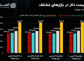 ظن دستکاری قیمت ها در بازار ارز/چراغ سبز نفت به بازار سرمایه