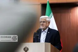 عارف: دولت مخالف واردات بی رویه صنعت نساجی است