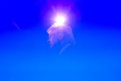 ترامپ تئورى مرد دیوانه را پیاده می‌کند