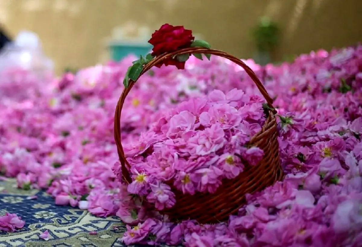 داده‌های گمرک نشان داد؛عربستان و ترکیه این محصول ایران را به نام خود زدند