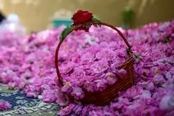 داده‌های گمرک نشان داد؛عربستان و ترکیه این محصول ایران را به نام خود زدند