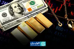 از نوسان قیمت جهانی تا ثبات داخلی؛ راه‌حل کجاست؟