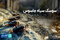 آلمان سوسک‌ها را به میدان نبرد و جاسوسی می‌فرستد