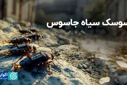 آلمان سوسک‌ها را به میدان نبرد و جاسوسی می‌فرستد