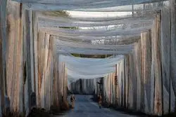 مسکو نسخه جدید جنگ را رونمایی کرد؛ آیا عصر پهپادهای خودمختار شروع شده؟