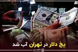 یخ دلار در تهران آب شد