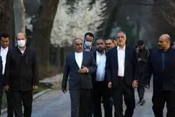 جزییات سفر زاکانی به دوشنبه 