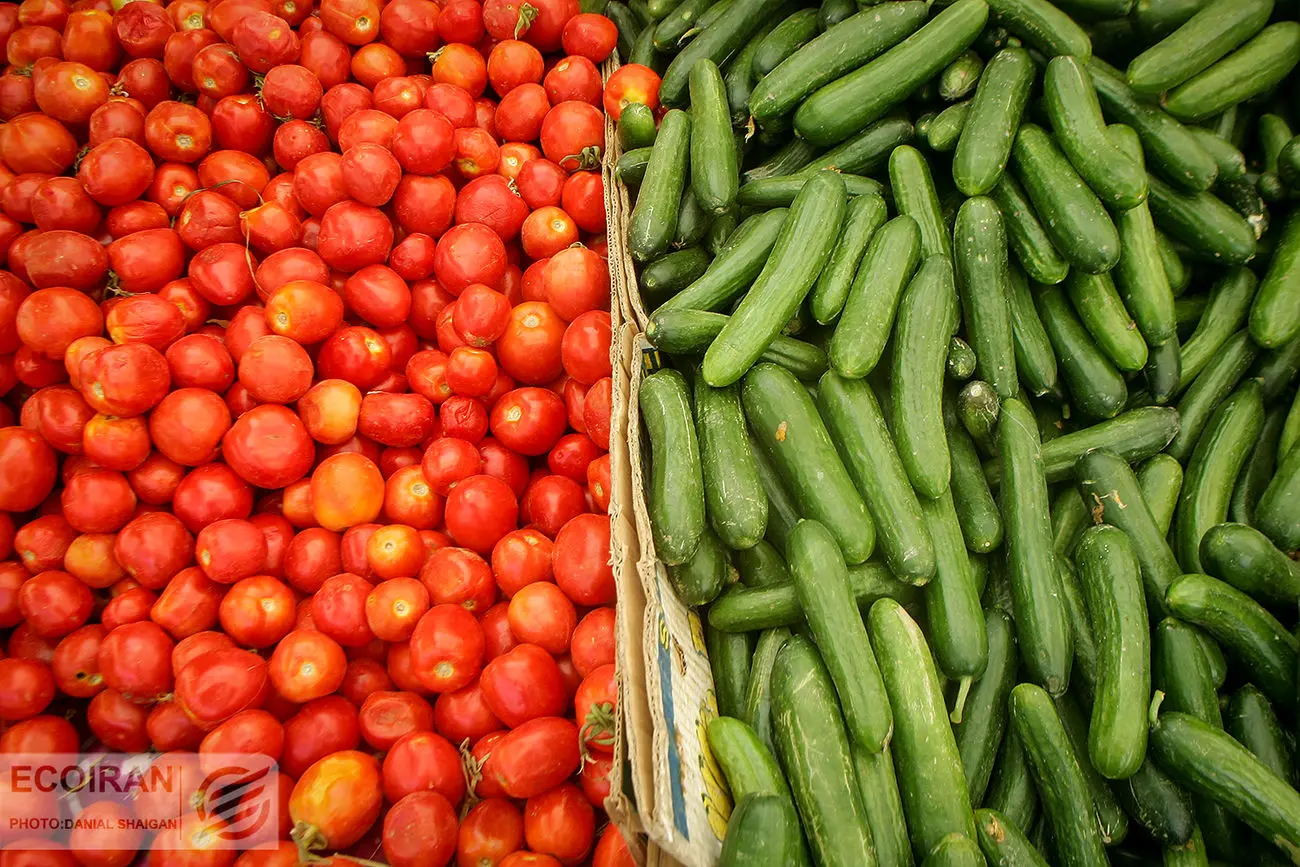 رکوردزنی رشد ماهانه قیمت گوجه فرنگی در فروردین 1401