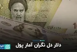 دلار دل‌نگران آمار پول