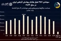 نمودار روز:  چه مقدار از پوشش گیاهی ایران در یک دهه گذشته در آتش سوخت؟