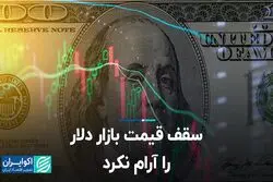 سقف قیمت بازار دلار را آرام نکرد