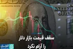 سقف قیمت بازار دلار را آرام نکرد