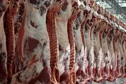 کشف تخلف 2 میلیارد تومانی گوشت قرمز از یک فروشگاه