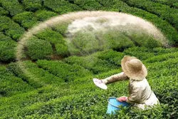 توقف تخصیص ارز واردات کود؛ رشد قیمت در انتظار محصولات کشاورزی