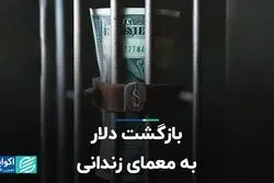 بازگشت دلار به معمای زندانی  
