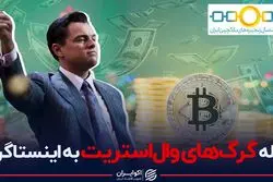 حمله گرگ های وال استریت به اینستاگرام
