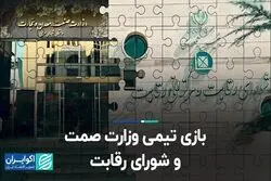 بازی تیمی وزارت صمت و شورای رقابت