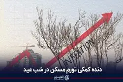 دنده کمکی تورم مسکن در شب عید