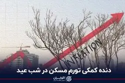 دنده کمکی تورم مسکن در شب عید