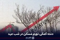 دنده کمکی تورم مسکن در شب عید