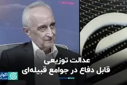 مداخلات دولت جوامع را تبدیل به جوامع قبیله‌ای می‌کند