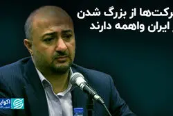 چرا شرکت‌ها در ایران بزرگ نمی‌شوند؟