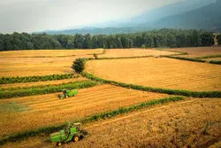 زمین‌خواری میلیاردی در چالوس/ اراضی ملی به طبیعت بازگشت؟