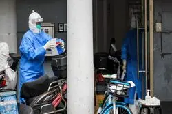 کرونا مانع صعود سنگ‌آهن نشد