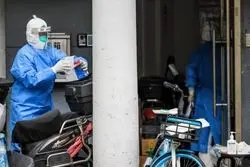 کرونا مانع صعود سنگ‌آهن نشد