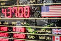 نشست دلاری در بهارستان/ مسیر نهنگ های دلاری در بازار 