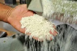 برنج خارجی کمیاب شد