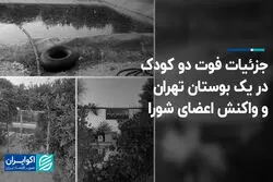 جزئیات فوت دو کودک در یک بوستان تهران و واکنش اعضای شورا