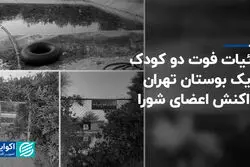 جزئیات فوت دو کودک در یک بوستان تهران و واکنش اعضای شورا