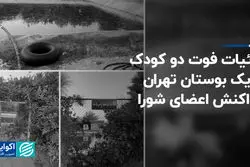 جزئیات فوت دو کودک در یک بوستان تهران و واکنش اعضای شورا