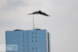 قفل بانک مرکزی در مرز 90 