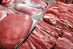 ماجرای مجوز عرضه گوشت الاغ و اسب چیست؟ توضیح رئیس شورای تأمین دام + جزئیات