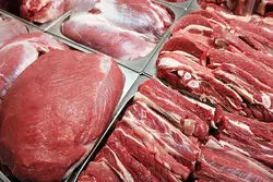 ماجرای مجوز عرضه گوشت الاغ و اسب چیست؟ توضیح رئیس شورای تأمین دام + جزئیات