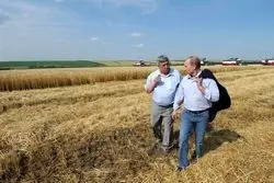 اسـتراتژی جدیـد روسـیه برای بازار غلات جهان