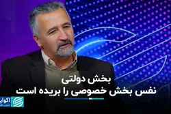 چالش‌های کوچک‌سازی دولت در ایران