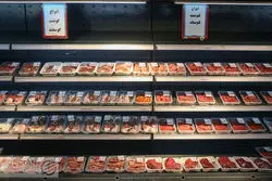 عامل گرانی گوشت و لبنیات اعلام شد