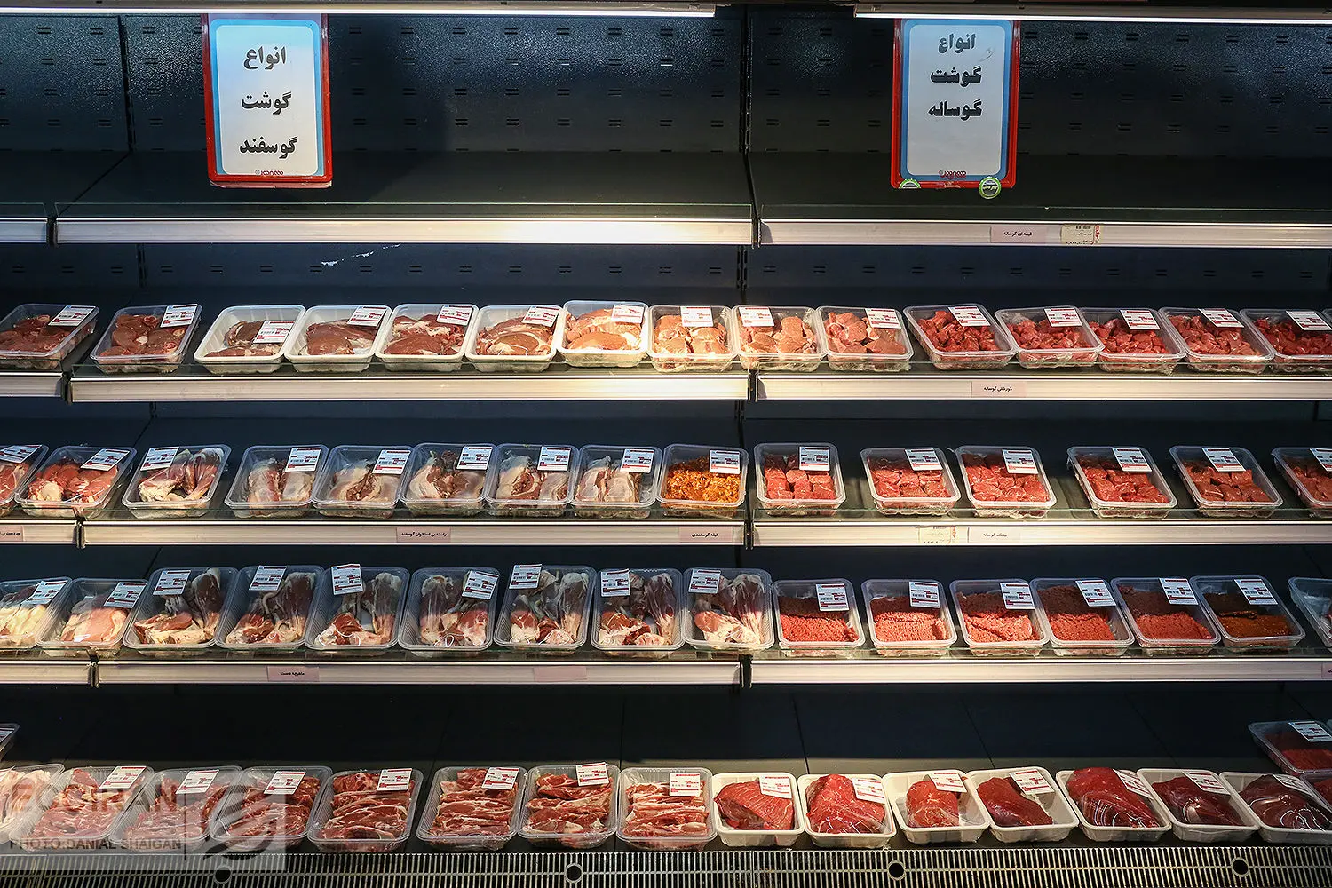 عامل گرانی گوشت و لبنیات اعلام شد