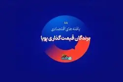 برندگان قیمت‌گذاری پویا