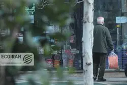 تورم هر استان ناشی از افزایش قیمت کدام کالاهاست؟