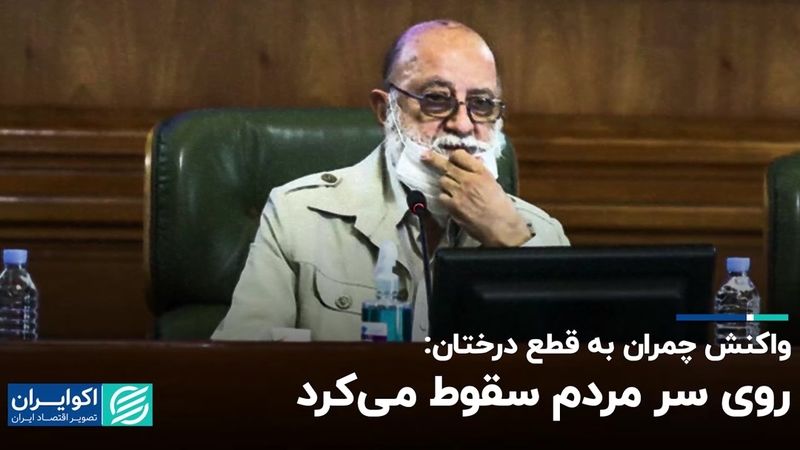 واکنش چمران به قطع درختان: روی سر مردم سقوط می‌کرد